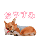すず＆花（個別スタンプ：4）