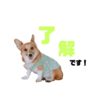 すず＆花（個別スタンプ：6）