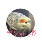 うちのきょめちゃん（個別スタンプ：9）