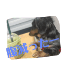 かんぱちの方言スタンプ（個別スタンプ：5）