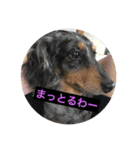かんぱちの方言スタンプ（個別スタンプ：7）