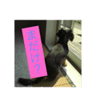 かんぱちの方言スタンプ（個別スタンプ：8）