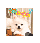パンくん時々アルくん（個別スタンプ：1）
