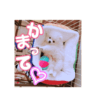 パンくん時々アルくん（個別スタンプ：2）