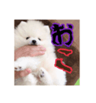 パンくん時々アルくん（個別スタンプ：3）