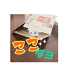 パンくん時々アルくん（個別スタンプ：4）