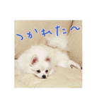 パンくん時々アルくん（個別スタンプ：5）