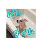 パンくん時々アルくん（個別スタンプ：6）