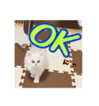 パンくん時々アルくん（個別スタンプ：7）