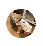 まるぅぅ（個別スタンプ：5）