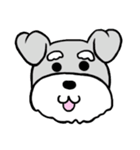 ミニシュナ♡りぼん（個別スタンプ：1）