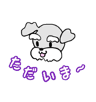 ミニシュナ♡りぼん（個別スタンプ：11）