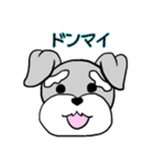 ミニシュナ♡りぼん（個別スタンプ：19）