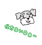 ミニシュナ♡りぼん（個別スタンプ：20）