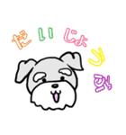 ミニシュナ♡りぼん（個別スタンプ：21）
