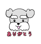 ミニシュナ♡りぼん（個別スタンプ：25）