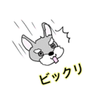 ミニシュナ♡りぼん（個別スタンプ：33）
