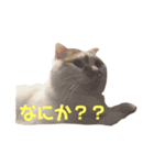 ミルクの喜怒哀楽（個別スタンプ：2）
