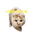 ミルクの喜怒哀楽（個別スタンプ：6）