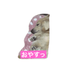 まろん♡（個別スタンプ：2）