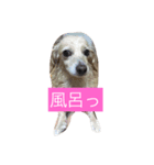 まろん♡（個別スタンプ：3）