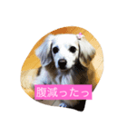 まろん♡（個別スタンプ：5）