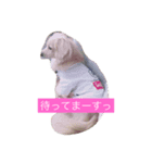 まろん♡（個別スタンプ：6）