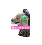 まろん♡（個別スタンプ：7）