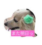 まろん♡（個別スタンプ：8）
