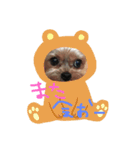 まりん特集（個別スタンプ：4）