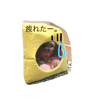 まりん特集（個別スタンプ：5）