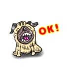 パグ的生活（個別スタンプ：4）