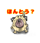 パグ的生活（個別スタンプ：5）