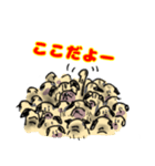 パグ的生活（個別スタンプ：7）