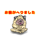 パグ的生活（個別スタンプ：8）