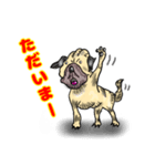 パグ的生活（個別スタンプ：11）