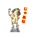 パグ的生活（個別スタンプ：13）