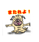 パグ的生活（個別スタンプ：34）