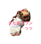 玲子さんのお茶目な一面（個別スタンプ：3）
