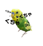 荒ぶるインコtake2（個別スタンプ：7）