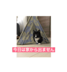 鈴木家の日常必須なスタンプ（個別スタンプ：1）