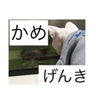 鈴木家の日常必須なスタンプ（個別スタンプ：7）