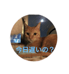 鈴木家の日常必須なスタンプ（個別スタンプ：12）