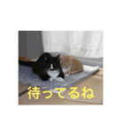 鈴木家の日常必須なスタンプ（個別スタンプ：15）