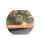 鈴木家の日常必須なスタンプ（個別スタンプ：16）