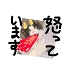 さっちゃん家の愉快な仲間たち（個別スタンプ：7）