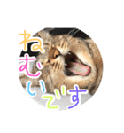 さっちゃん家の愉快な仲間たち（個別スタンプ：10）