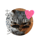 さっちゃん家の愉快な仲間たち（個別スタンプ：12）