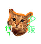 さっちゃん家の愉快な仲間たち（個別スタンプ：20）