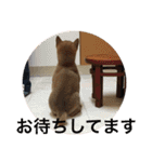 レディきく（個別スタンプ：9）